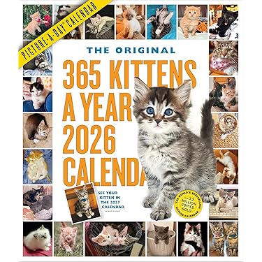 Amazon.co.jp 売れ筋ランキング: Arts & Photography の中で最も